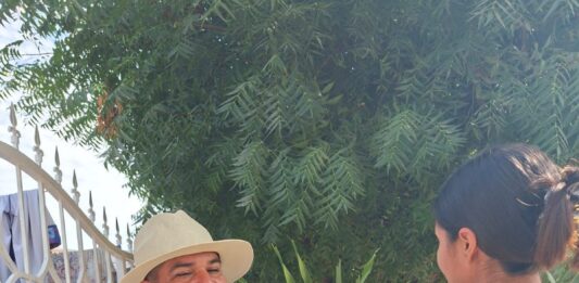 Sinaloa se posiciona entre los primeros tres estados con mayor cobertura de vacunación contra el sarampión