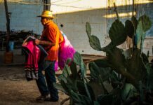 El Gobierno de Sinaloa brinda atención invernal a familias de jornaleros agrícolas en Ruiz Cortines, Guasave