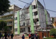 Publicación de doctorando de la UAS aporta evidencia científica sobre el riesgo de las plantas bajas débiles