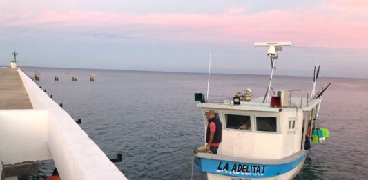 Marina, en coordinación con CONAPESCA, retiene precautoriamente aproximadamente 130 kilogramos de tiburón en el Área Natural Protegida Islas Marías