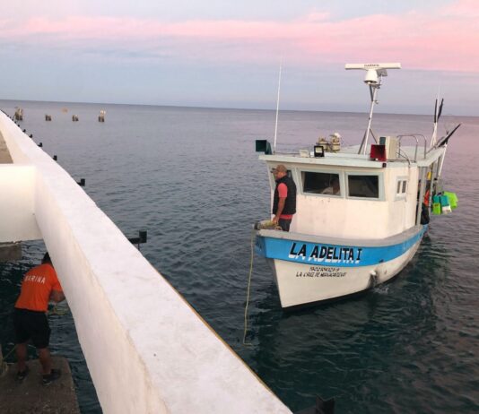 Marina, en coordinación con CONAPESCA, retiene precautoriamente aproximadamente 130 kilogramos de tiburón en el Área Natural Protegida Islas Marías
