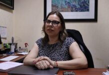 Fijan en la Bolsa de Chicago el parámetro base para la comercialización del maíz sinaloense