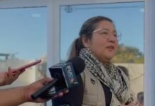 Confirman cuatro cuerpos localizados en fosas clandestinas de El Verde, Concordia