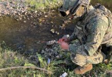 Asegura Marina municiones y desmantela campamentos delictivos en Concordia, Sinaloa