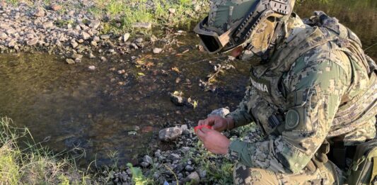 Asegura Marina municiones y desmantela campamentos delictivos en Concordia, Sinaloa