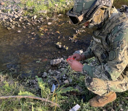 Asegura Marina municiones y desmantela campamentos delictivos en Concordia, Sinaloa