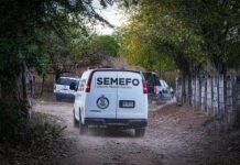 Confirma FGR que sí hay cuerpos y restos en El Verde, Concordia; uno podría ser minero