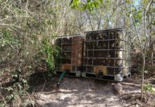 Marina localiza campamento con cubitanques de combustible y asegura armas, municiones y vehículos en Sinaloa