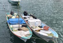 Aseguran embarcaciones y equipo de pesca ilegal en la Reserva de la Biosfera Islas Marías