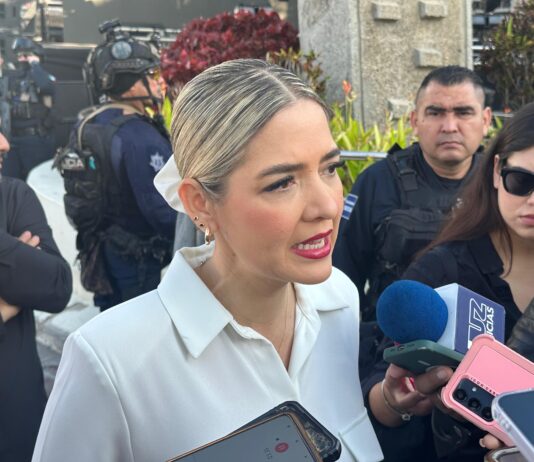 Alta afluencia y hoteles casi llenos en el primer día de carnaval: Estrella Palacios