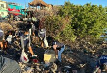 Impulsan conciencia ambiental con limpieza de manglares en el Estero del Infiernillo