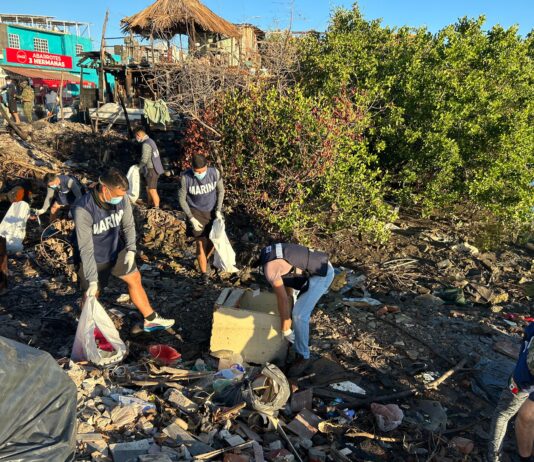 Impulsan conciencia ambiental con limpieza de manglares en el Estero del Infiernillo