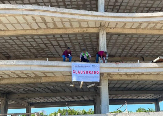 Profepa clausura obra inmobiliaria en zona de manglar en Mazatlán