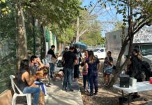 Realizan 16va campaña “Huellitas del Bienestar” con esterilizaciones gratuitas