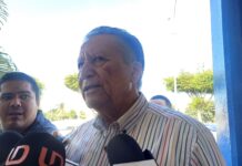 Vizsla Silver no se va de Sinaloa; prevén pronto regreso a operaciones en Concordia