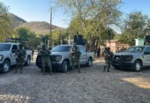 Operativo contra célula de “Los Mayos” deja un detenido y cuatro agresores abatidos