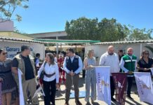 Arranca en Mazatlán la Jornada Nacional contra el Dengue y Chikungunya