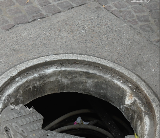 Locales y Turistas a Expensas de la Irresponsabilidad e Ineficiencia de la CFE, “Empresa con Clase Mundial”