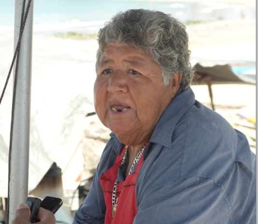 Desde que “Empezó el Desmadre, No hay Negocio”, dice Doña Mary, Líder de Vendedores de Pescados en Playa Norte