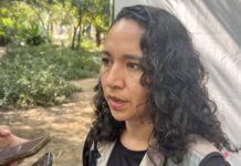 Perros expuestos al sol, entre los reportes más comunes en Mazatlán: Ecología