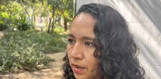 Perros expuestos al sol, entre los reportes más comunes en Mazatlán: Ecología