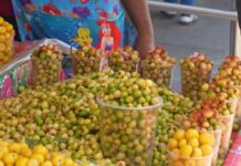 Clarisa es un Personaje en la Venta de Fruta de Temporada frente al Mercado del Centro