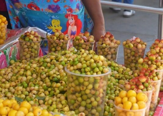Clarisa es un Personaje en la Venta de Fruta de Temporada frente al Mercado del Centro