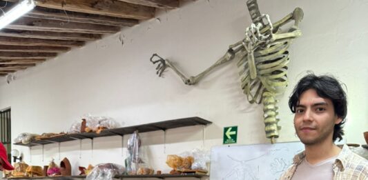 Creatividad que toma forma en barro en el CMA bajo la guía del maestro Luis Ángel Leyva