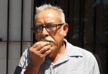 Gaspar y su Imaginaria “Trompeta” Deleitó a un Público con Canciones Salidas de la Hoja de un Árbol