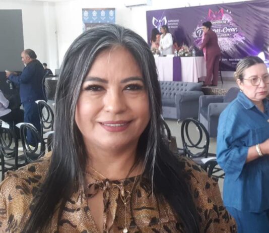 Reservaciones Hoteleras no Están al Nivel de Mejores Tiempos, Acepta Francis Cáceres, Líder de la Canaco Mazatlán