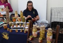 ¡Construyendo futuro! Estudiantes y empresas coinciden en el éxito de los espacios de colaboración laboral, en la Feria de Vinculación UAS 2026