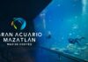 ¡Gran Acuario Mazatlán se Pone a Modo y por 200 Pesos Compra tu Boleto!