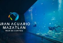 ¡Gran Acuario Mazatlán se Pone a Modo y por 200 Pesos Compra tu Boleto!