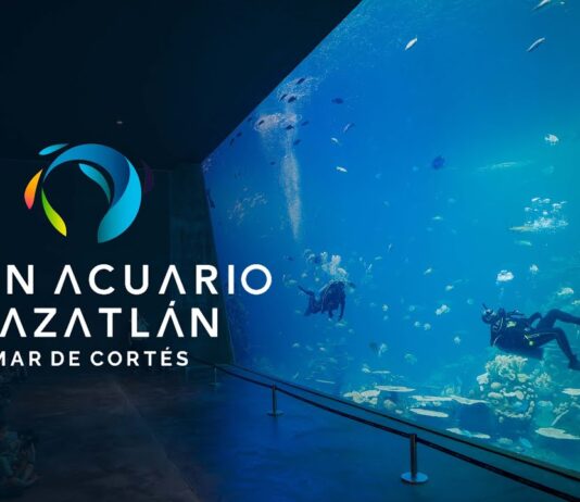 ¡Gran Acuario Mazatlán se Pone a Modo y por 200 Pesos Compra tu Boleto!