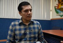 ¿Sabías que en Sinaloa hay más de 250 especies de mosquitos? Investigador de la UAS revela nuevos datos sobre la culicifauna