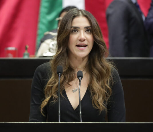 Senadora del PRI, Paloma Sánchez, Pide Licencia Temporal por Maternidad Próxima