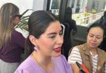 Culiacán concentra mayor incidencia de feminicidios en el estado: Ana Chiquete