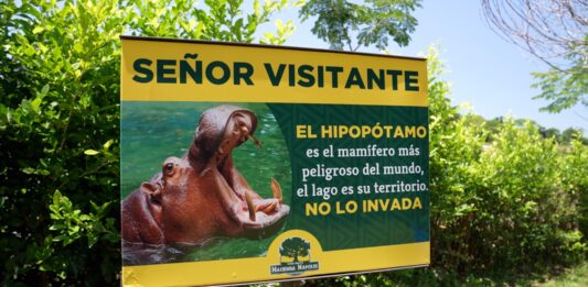 AZCARM pide a Colombia frenar sacrificio de hipopótamos y retomar plan de reubicación