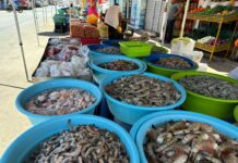 Ventas en las “Changueras” alcanzaron hasta un 70% durante la Semana de la Moto