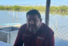 Mazatlán prevé ocupación hotelera superior al 90% para el fin de semana: Sedectur