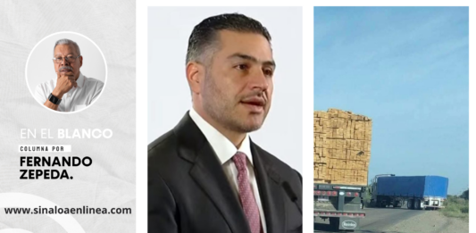En el blanco Fernando Zepeda H.