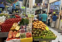 Frutas y Verduras Subieron en la Primer Quincena del Mes, Dice el INEGI; Canasta Básica por los Cielos, Afirma PRI