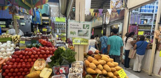 Frutas y Verduras Subieron en la Primer Quincena del Mes, Dice el INEGI; Canasta Básica por los Cielos, Afirma PRI