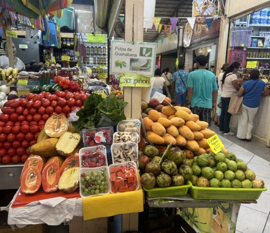 Frutas y Verduras Subieron en la Primer Quincena del Mes, Dice el INEGI; Canasta Básica por los Cielos, Afirma PRI