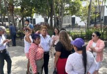 Tianguistas de la Flores Magón denuncian acoso de Tránsito y multas excesivas
