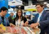 MazAmazing lleva el nombre de Mazatlán al mundo y fortalece la llegada de cruceros al puerto