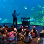 WhatsApp Image 2026-04-27 at 12.13.47 PM (1)