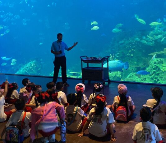 Gran Acuario Mazatlán: donde la educación ambiental cobra vida y transforma generaciones