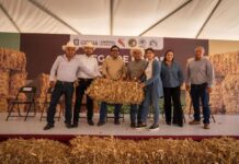 Por segundo año consecutivo, Juan de Dios Gámez entrega apoyos al sector ganadero regional; destina 1.2 mdp