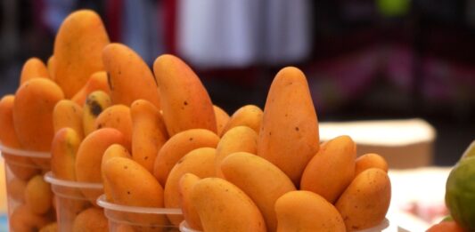 ¡Ya Llegaron!… los Mangos Manila y el “Perlita” en las Carretas del “Kilo”, Frente al Mercado Pino Suárez